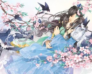 深入了解 免费在线看打扑克剧烈运动